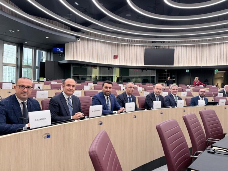 Komiteti Shqipëri–BE pa rezolutë të përbashkët, PD: Amendamentet tona u refuzuan nga socialistët