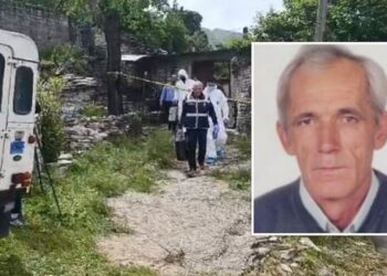 Vrau çiftin e të moshuarve, Prokuroria kërkon 30 vite burg për autorin