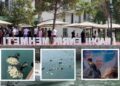 Humbi jetën në aksidentin tragjik, homazhe në Vlorë për gazetarin Enrik Mehmeti