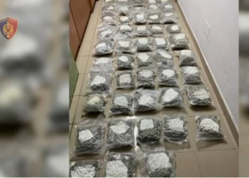Sekuestrohet 46 kg kanabis në Rinas, arrestohen 2 persona
