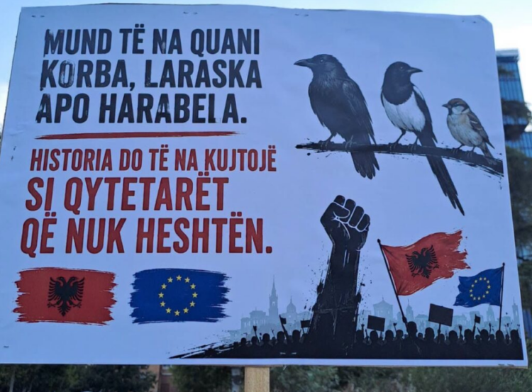 T’i quash “korba” e “sorra” të rinjtë që kërkojnë një atdhe më të pastër e më të bukur!