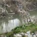 Raporti që ngre alarmin: Lumi i Tiranës dhe Ishmi të ndotura me fekale