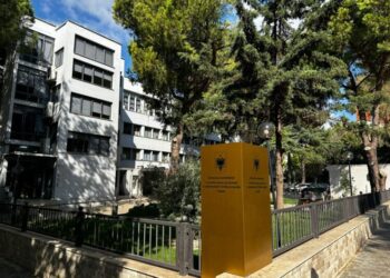 Lirohet gruaja që u burgos bashkë me foshnjën 1-vjeçare