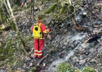 Parku Kombëtar i Llogarasë prej tre ditësh nën flakë, zjarri vazhdon jashtë kontrollit