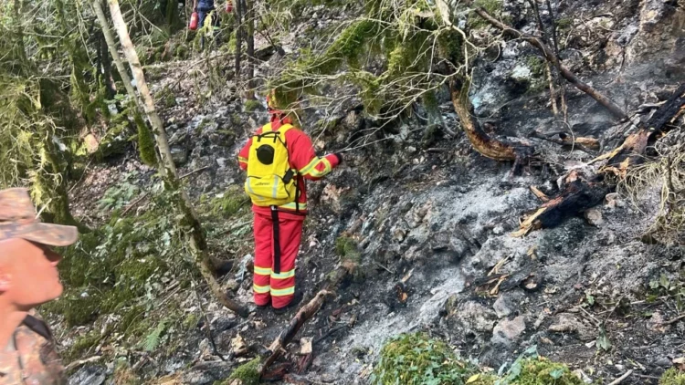 Parku Kombëtar i Llogarasë prej tre ditësh nën flakë, zjarri vazhdon jashtë kontrollit