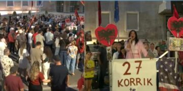 Nëna shpërthen në protestë: 11 vite me djalin e paralizuar, shteti më ka braktisur