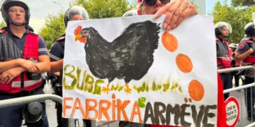 “Edi Rama i pabesë, ju me gaz ne me vezë!” Qytetarët ‘armatosen’ me domate e speca para Parlamentit
