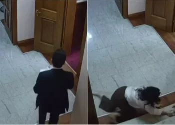 PD dënon publikimin e pamjeve të punonjëses së Kuvendit: Veprim denigrues dhe dhunë ndaj dinjitetit të saj