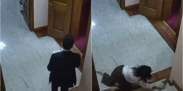 PD dënon publikimin e pamjeve të punonjëses së Kuvendit: Veprim denigrues dhe dhunë ndaj dinjitetit të saj
