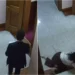 PD dënon publikimin e pamjeve të punonjëses së Kuvendit: Veprim denigrues dhe dhunë ndaj dinjitetit të saj