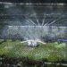 FIFA vendos sa do të zgjasë spektaklin në finalen e Botërorit