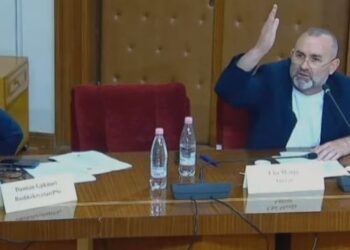 Përplasje në Komisionin e ‘Zgjedhores’, Manja fyen deputetin demokrat: Qepe gojën, legen!