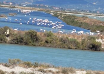 Konventa e Bernës kritikon qeverinë për Vjosë-Nartën, kërkon shpjegime dhe paralajmëron për masa të tjera