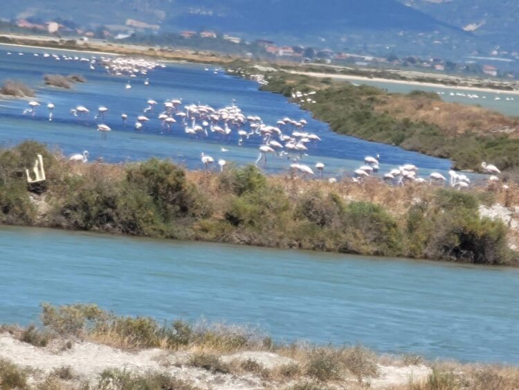 Konventa e Bernës kritikon qeverinë për Vjosë-Nartën, kërkon shpjegime dhe paralajmëron për masa të tjera