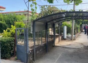 Një ngjarje tragjike e paramenduar nga autori: Do të fejohemi sërish ose do ju vras të gjithëve