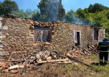 Zjarri në shtëpinë në Shkodër, reagon Policia: Ka humbur jetën nëna me dy fëmijët 1 dhe 3 vjeç