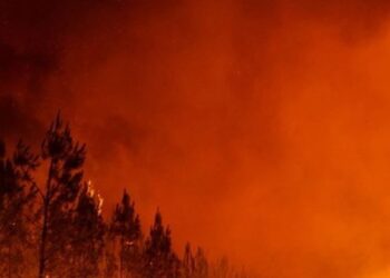 IGJEO paralajmëron rrezik të lartë zjarresh: Fieri, Lezha dhe Durrësi më të rrezikuarit