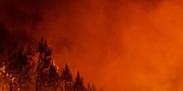 IGJEO paralajmëron rrezik të lartë zjarresh: Fieri, Lezha dhe Durrësi më të rrezikuarit