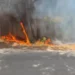 Flakët përfshijnë Pyllin e Sodës, Vlora mbulohet nga tymi, zjarrfikësit përpiqen ta ndalin