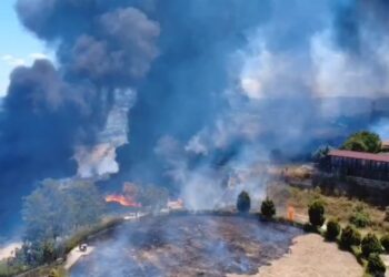 Zjarri në ullishtet në Drizë të Fierit, pritet ndërhyrja nga ajri