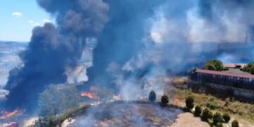 Zjarri në ullishtet në Drizë të Fierit, pritet ndërhyrja nga ajri
