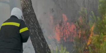 Përshkallëzohet zjarri në Zvërnec, rrezik për banesat dhe bizneset