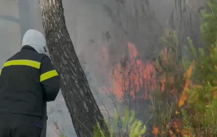 Përshkallëzohet zjarri në Zvërnec, rrezik për banesat dhe bizneset
