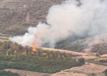 Mbrojtja Civile: Situata e zjarreve në vend, 11 vatra vijojnë të jenë aktive