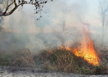 Zjarri del jashtë kontrollit në Mallakastër, flakët afrohen drejt fshatit Drenije