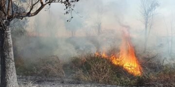 Zjarri del jashtë kontrollit në Mallakastër, flakët afrohen drejt fshatit Drenije