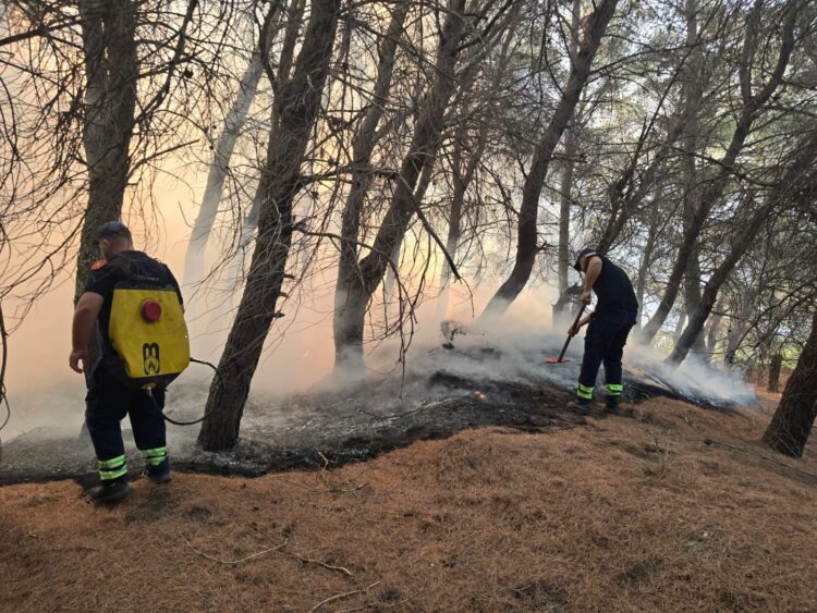 Flakët në Mallakastër jashtë kontrollit, situatë kritike në Riban dhe Ngraçan