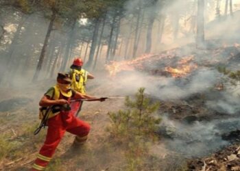 Mbrojtja Civile: 7 vatra zjarri ende aktive, luftë me flakët në Dajt, Mallakastër, Elbasan dhe Dropull