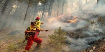Mbrojtja Civile: 7 vatra zjarri ende aktive, luftë me flakët në Dajt, Mallakastër, Elbasan dhe Dropull