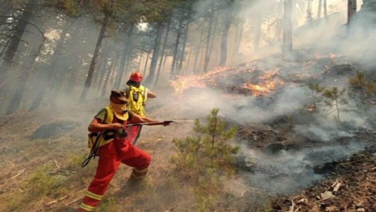 Mbrojtja Civile: 7 vatra zjarri ende aktive, luftë me flakët në Dajt, Mallakastër, Elbasan dhe Dropull