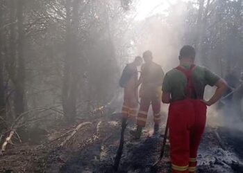 Zjarri në Drenie të Patosit dhe në zonën e Mallakastrës, më shumë se 40 forca po punojnë për shuarjen