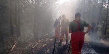 Zjarri në Drenie të Patosit dhe në zonën e Mallakastrës, më shumë se 40 forca po punojnë për shuarjen