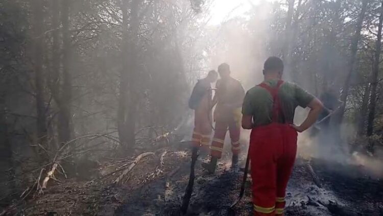 Zjarri në Drenie të Patosit dhe në zonën e Mallakastrës, më shumë se 40 forca po punojnë për shuarjen