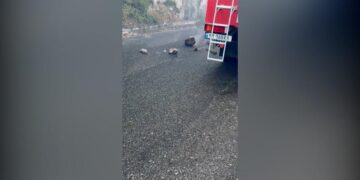 ‘Largohuni!’ Pas zjarrit, rrezik i ri në Abaze të Krujës, gurët shkëputen nga mali