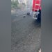 ‘Largohuni!’ Pas zjarrit, rrezik i ri në Abaze të Krujës, gurët shkëputen nga mali
