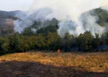 Zjarri në Tiranë, në fshatin Daias, po punohet nga toka dhe ajri