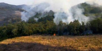 Zjarri në Tiranë, në fshatin Daias, po punohet nga toka dhe ajri
