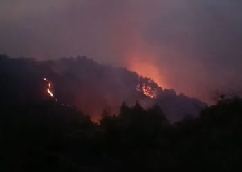 Mallakastër/ Zjarri mbetet aktiv në Panahor-Ngraçan, zjarrfikësit ndërpresin operacionin për shkak të errësirës
