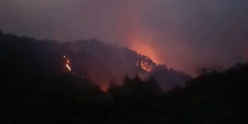 Mallakastër/ Zjarri mbetet aktiv në Panahor-Ngraçan, zjarrfikësit ndërpresin operacionin për shkak të errësirës