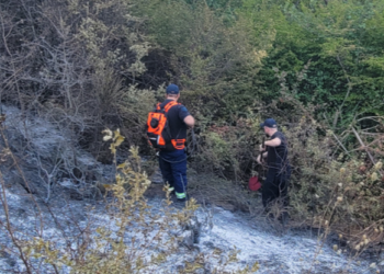 Mbrojtja Civile: 27 vatra zjarri gjatë 24 orëve të fundit, 5 ende aktive