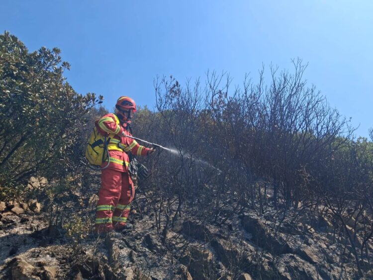 Mbrojtja Civile: 418 ha sipërfaqe e djegur në 24 orë, nga 45 vatra zjarri, 12 ende aktive