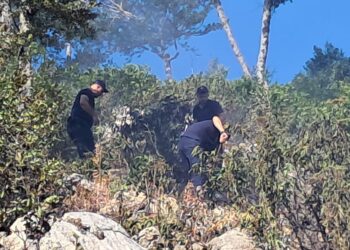 Zjarri në malin e Qukësit në Prrenjas dyshohet se është vënë qëllimisht