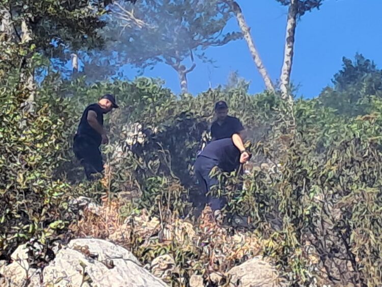 Zjarri në malin e Qukësit në Prrenjas dyshohet se është vënë qëllimisht
