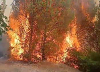 Përkeqësohet situata në Lurë/ Banorët në rrezik, flakët u afrohen shtëpive