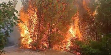 Përkeqësohet situata në Lurë/ Banorët në rrezik, flakët u afrohen shtëpive