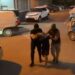 Po transportonte armë zjarri për shitje në Tiranë, arrestohet 26-vjeçari në kthesën e Kamzës